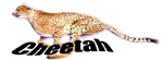 cheetah_logo